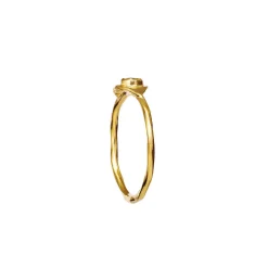 Ringe|Maanesten Argos Ring